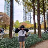 Seoul Forest Park 