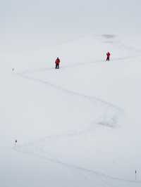 Penguins, Icebergs, and Feeling Like an Extra in Frozen: The Antarctic Peninsula 