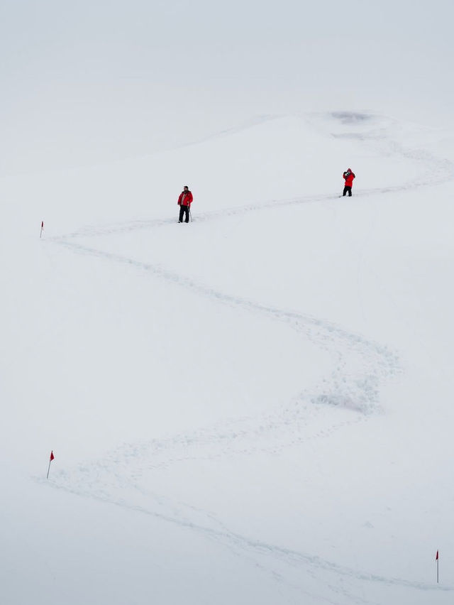 Penguins, Icebergs, and Feeling Like an Extra in Frozen: The Antarctic Peninsula 