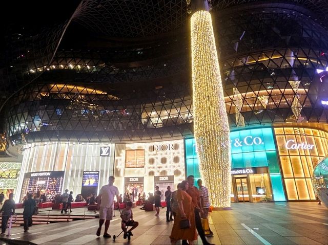 The Christmas Lights at uppee Orchard Road near ION Orchard 