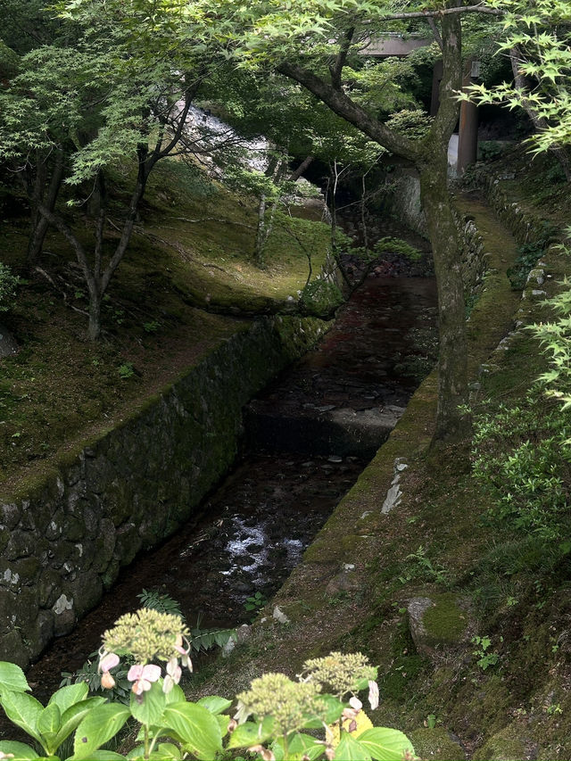 Serenity in Every Step: Exploring Tofuku-ji Temple