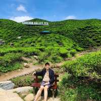 A Scenic Escape to Cameron Highlands: Tea, Strawberries, and Tranquil Beauty