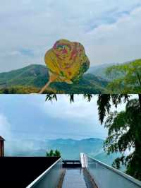 在莫干山|住到了不想退房的小眾民宿