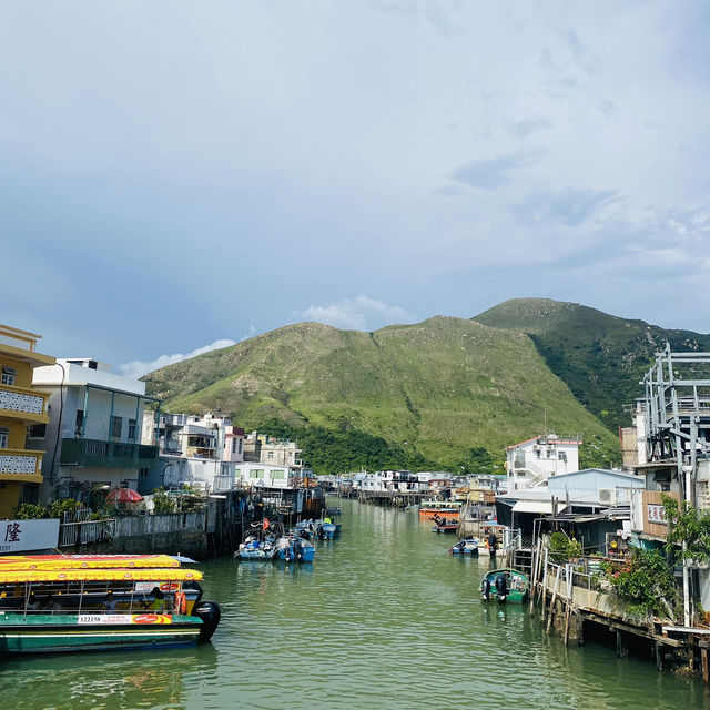 Tai O Boat Trip 🚤🇭🇰 Watch the Chinese Pink Dolphin! 🐬💓