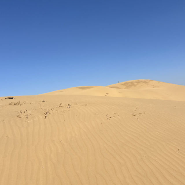 A Unique Desert Experience in Inner Mongolia