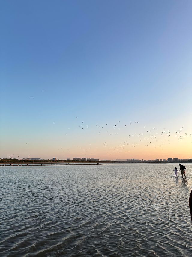 治癒系之煙台金沙灘海濱公園打卡！