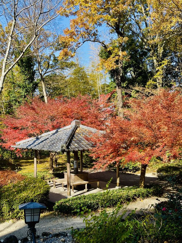 日本·奈良吉城園