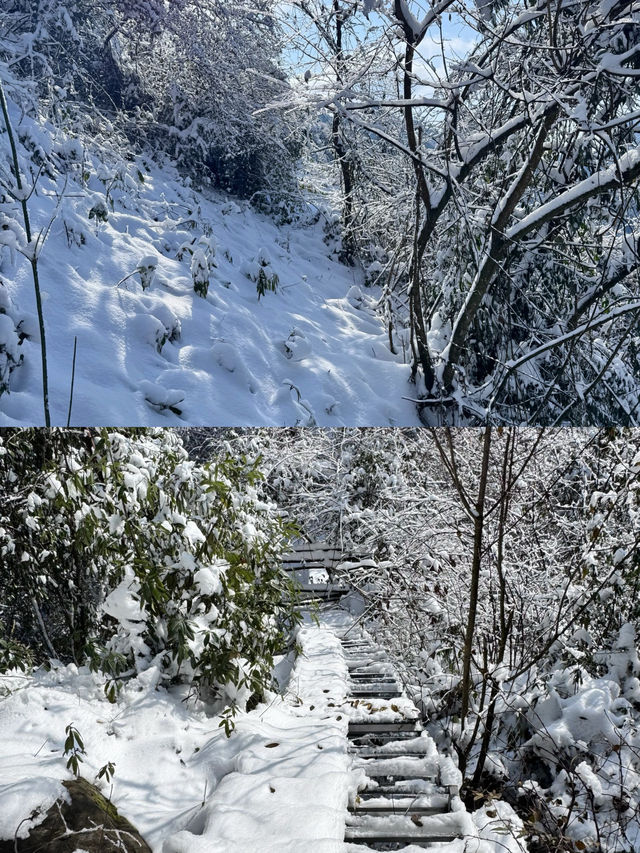 成都周邊一小時就可以看雪啦