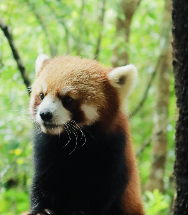 小朋友的樂園