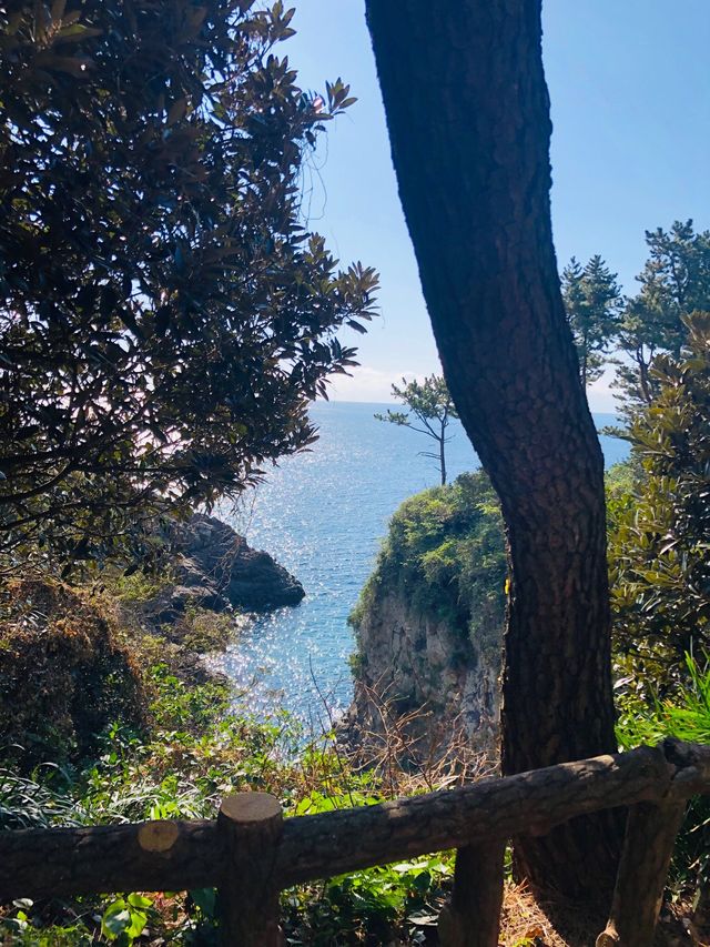 🇰🇷韓國濟洲風景🌳🪨將軍石