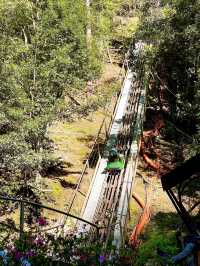 Trying The Longest Alpine Coaster In Asia🇻🇳