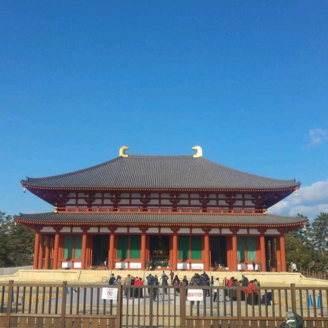 奈良國寶古寺【興福寺】