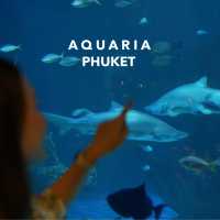 Aquaria Phuket 🐟🪼🐋