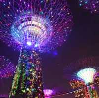 Singapore: Fusion of Culture, Cuisine, and Innovation