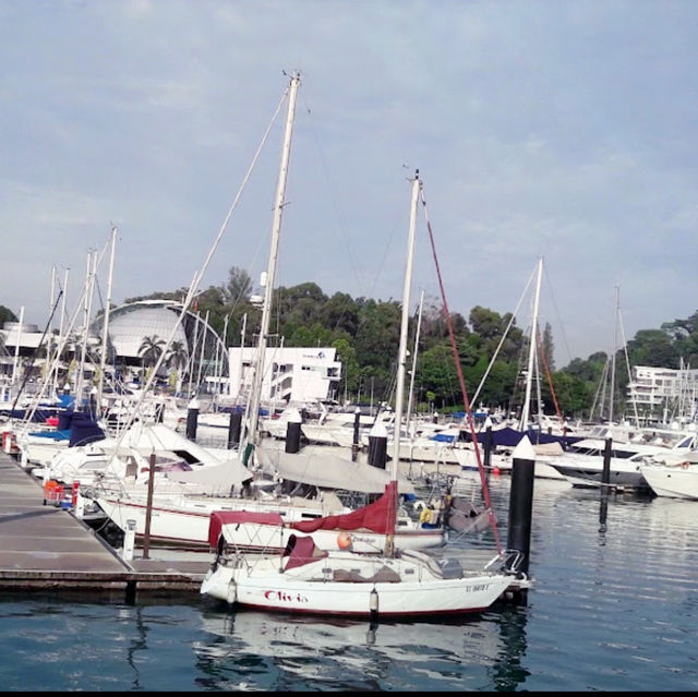 Lunch by the Keppel bay at Prive 