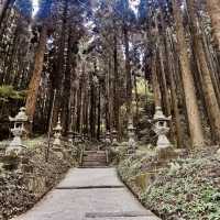 "Rejuvenation in Nature: A Visit to Shirakawa Fountain Head"