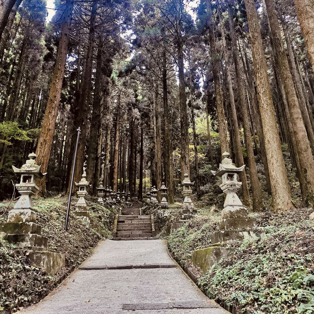 "Rejuvenation in Nature: A Visit to Shirakawa Fountain Head"