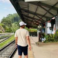 Ella Station: The Heart of Sri Lanka’s Scenic Railway Adventures