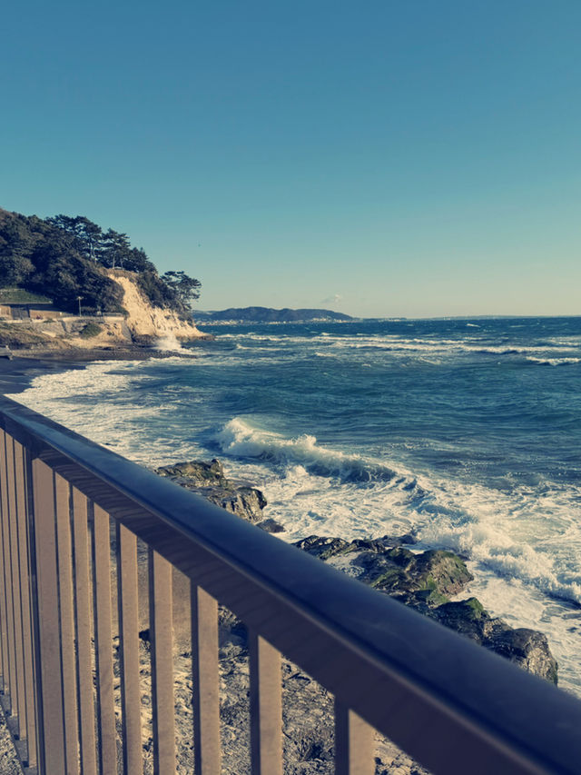 Kamakura เมืองเล็กๆที่ไม่ควรพลาด 🏘️