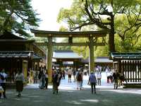 ⛩ 明治神宮 | 旅遊時刻🌳