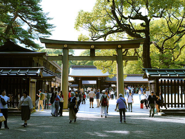 ⛩ 明治神宮 | 旅遊時刻🌳