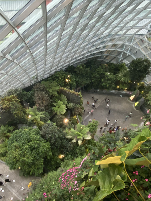 Blooming Beauty and Majestic Waterfalls: Exploring Gardens by the Bay