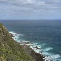 Coastal Bliss: A 2-Day Great Ocean Road Escape to Paradise