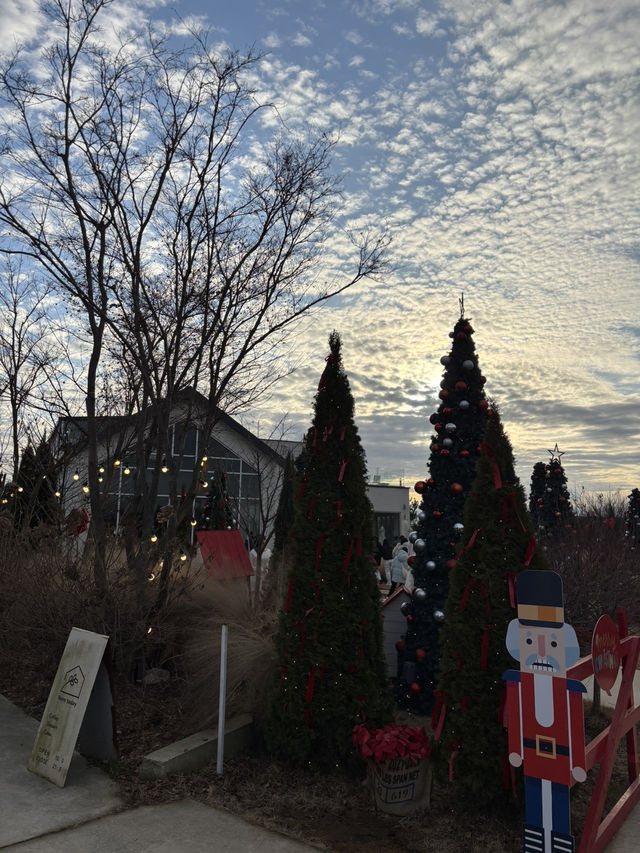 핑크뮬리와 사진찍기 좋은 김제 감성카페💙