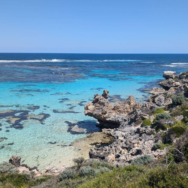 Paradacise Found: Rottnese Island, Perth's Hidden Gem