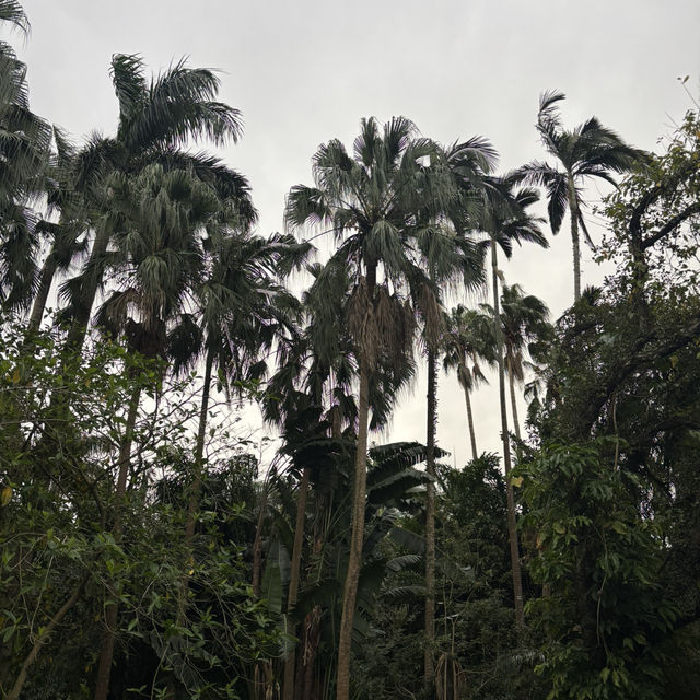 綠意盎然的城市秘境：臺北植物園遊記