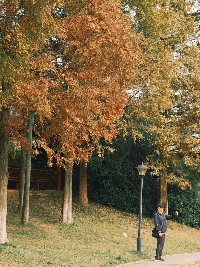 長沙超有氛圍感的小眾寶藏公園嘎嘎出片