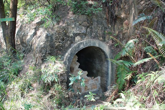 探秘三門島