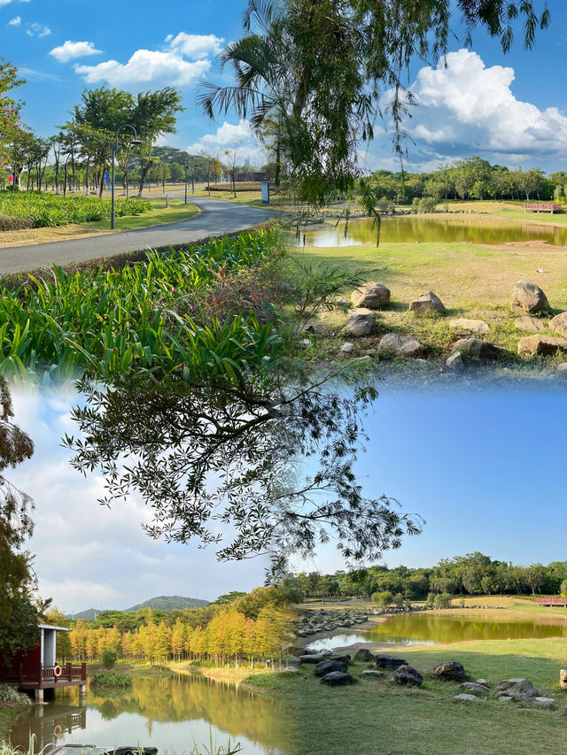 龍崗紅花嶺公園，一個超適合露營和親子遊玩的好地方！