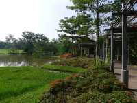 熱帶植物園·百花園——花的海洋。