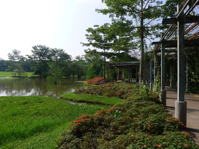 熱帶植物園·百花園——花的海洋。