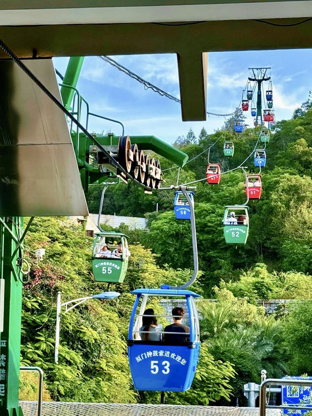 雲間俯瞰——廈門鐘鼓索道上的山海遨遊