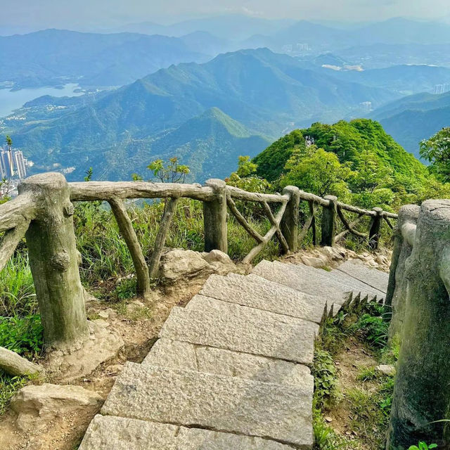 雲霧中的綠色聖境