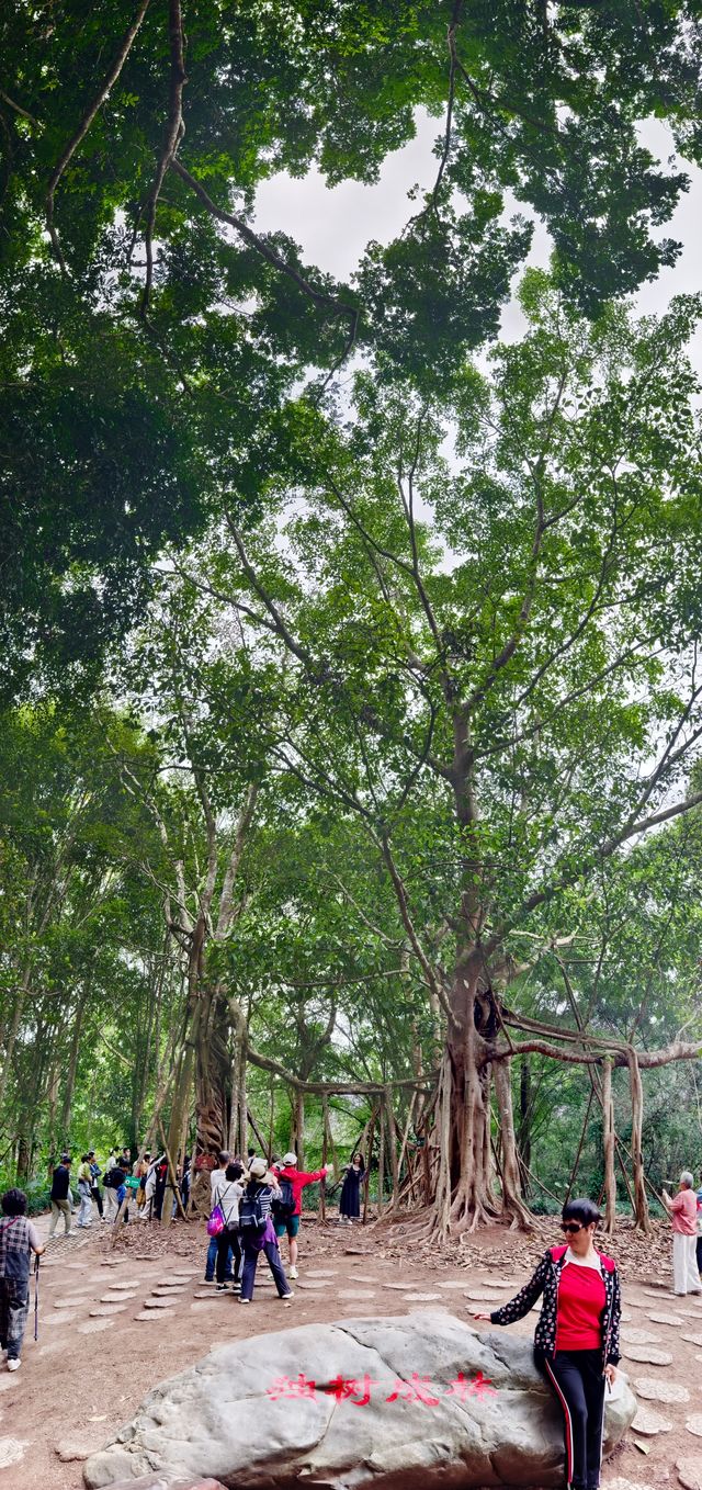 中國科學院西雙版納熱帶植物園（雲南省，5A）