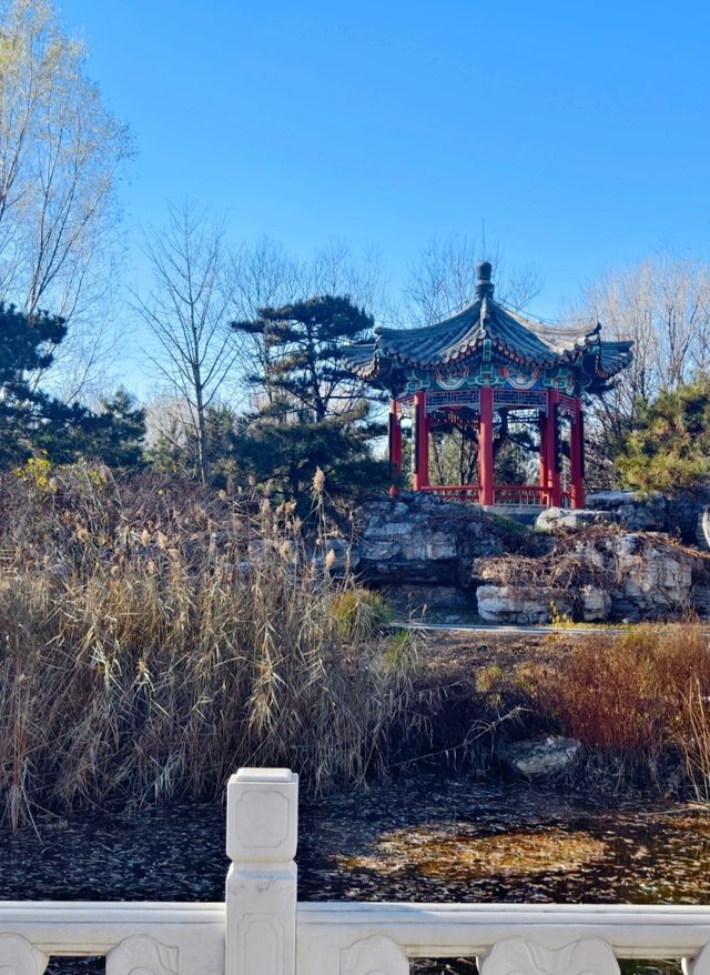 綠色之旅：揭開北京世園公園的神秘面紗