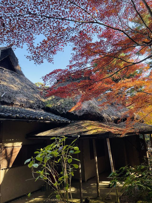 日本·奈良吉城園