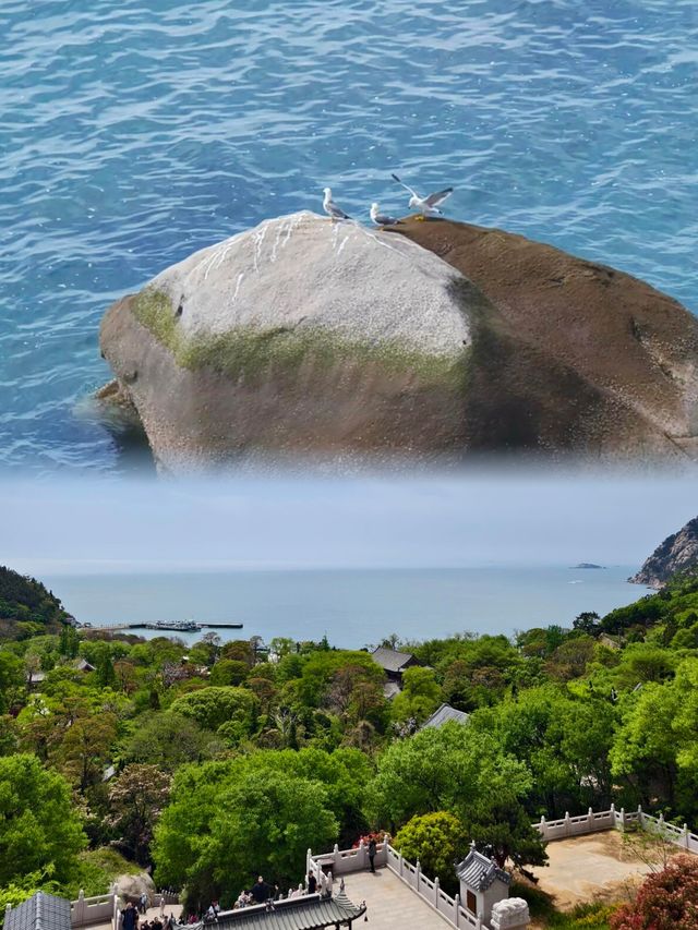 青島·嶗山｜問道嶗山，賞山海奇觀