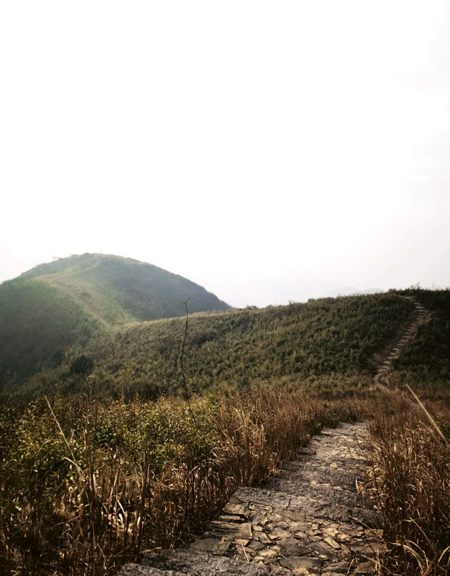 在鸬鳥山，感受大自然的鬼斧神工