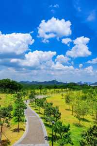 深圳親子單車新寵兒，陌上花公園全攻略來啦！