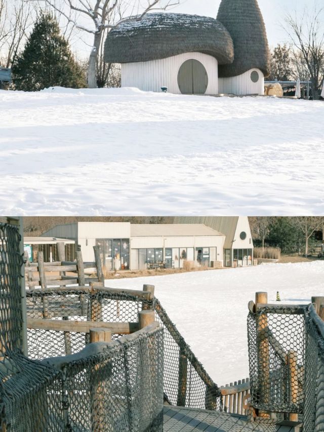 北京遛娃|冬日出門放風的快樂還得是玩雪