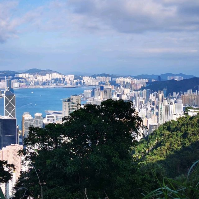 香港大學•龍虎山•太平山頂