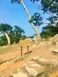 【大嶼山】大東山：登上香港第三高峰，探索神秘石屋