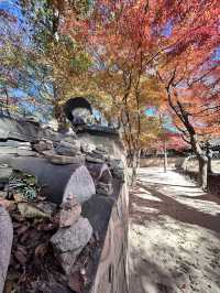 🇰🇷慶洲✈️世界文化遺產「佛國寺불국사」🍁