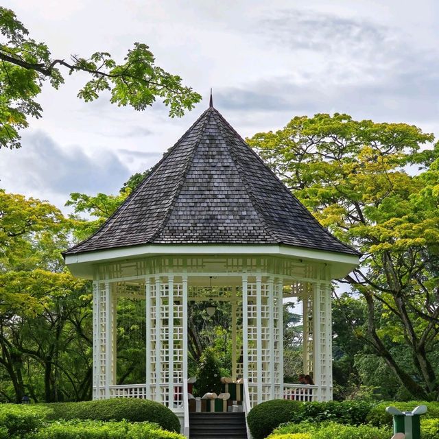 Its neither Europe nor Australia. Its Singapore Botanical Garden