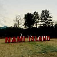 A Magical Autumn-cum-Winter Getaway to Nami Island!