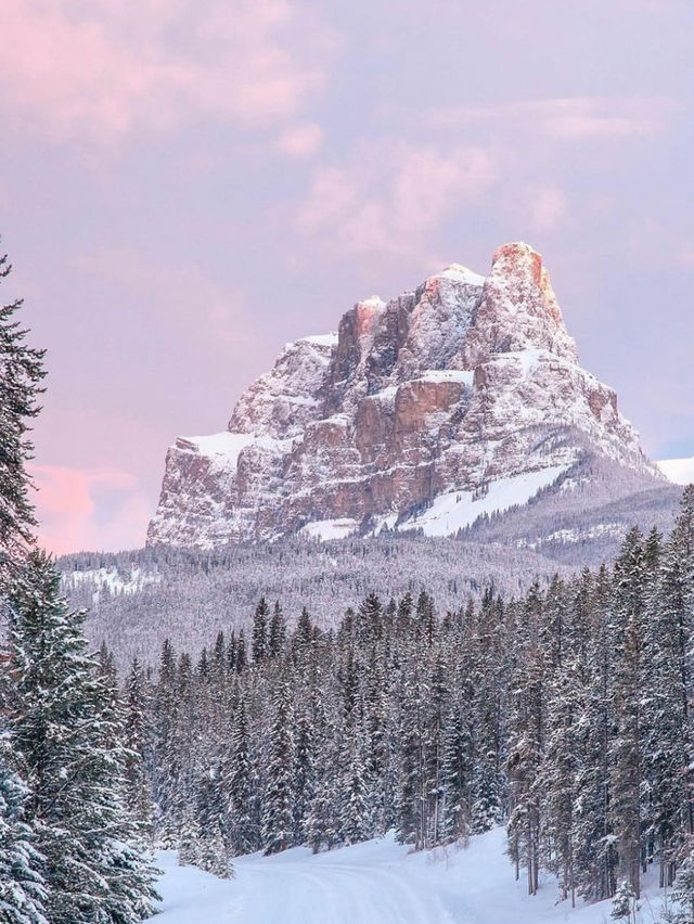 Why You Need to Visit Banff this Winter